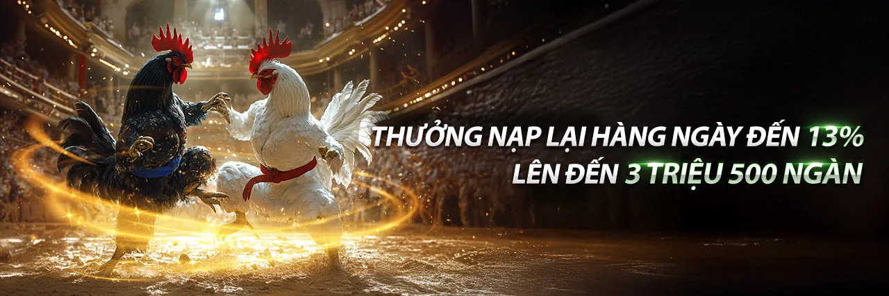 Khuyến Mãi Hấp Dẫn vs bet