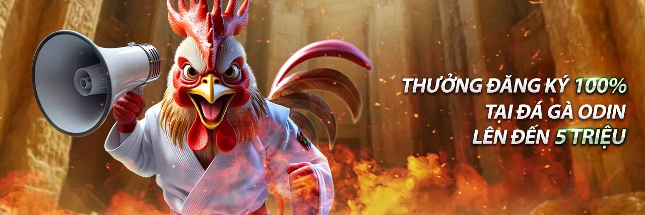 Chính sách Cookie và Bảo mật Dữ liệu shbet 5