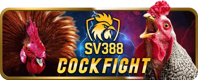 Lợi ích khi tham gia khuyến mãi vs bet